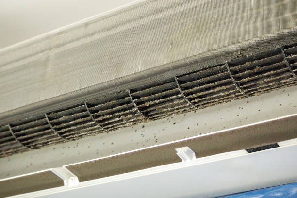 Best Local Air Duct Cleaning Services  in Westland, MI
